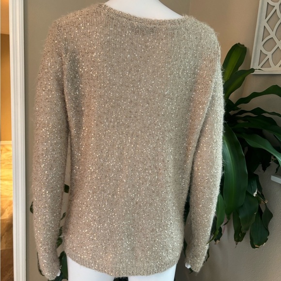 The Limited Tan and Gold sequins  Crew Neck Sweater - Picture 4 of 7